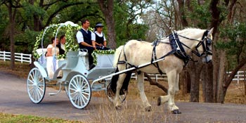 A wedding in Texas