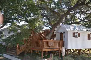 Treehouse complex at The Alexander on Creek Road