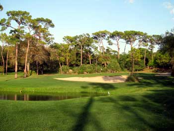 South Golf Course at Innisbrook Resort 