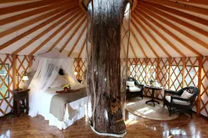 Treehouse rental