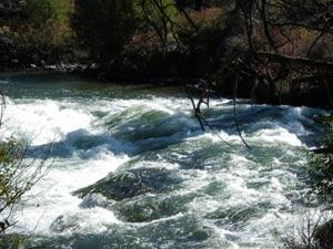 Deschutes River Rapids