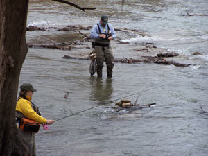 Fly Fishing The Guadalupe River