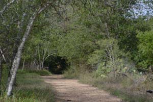 Trail at Alamo River RV Ranch & Campground