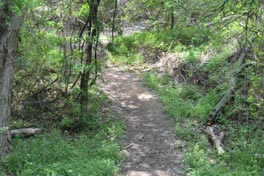 Holiday Park Campground trails