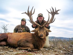 Red Stag hunt at Ox Ranch