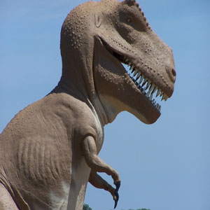 Dinosaur Valley State Park
