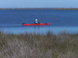 Kayaking the bayou