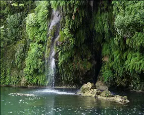 Waterfalls at Krause Springs
