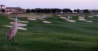 Championsgate golf hole