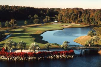 the Palm Golf Course in Disney World
