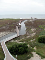 Part of the boardwalk leading to the bay at the SPI Birding Center