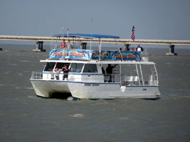 Looking for dolphin in Laguna Madre Bay