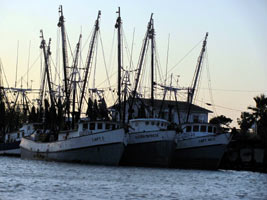 shrimp boats in Port Isabel