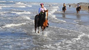 horseback riding on the beach at  South Padre Island Adventure Park