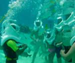 Sea Trek Underwater Adventure