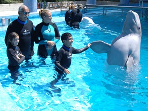 Shaking hands with a whale at SeaWorld