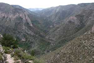 McKittrick Canyon