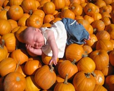 Asleep in a Texas Pumpkin Patch
