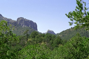 Davis Mountains Preserve