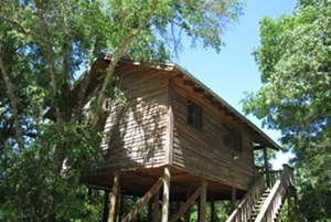 Scenic Hill Treehouse