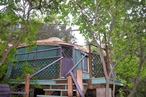 The treehouse yurt at Rainbow Hearth