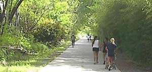 The path on Katy Trail