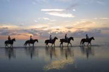 Riding into the sunset on the beach of South Padre Island
