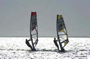 windsurfing in the bay