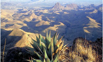 a small portion of Big Bend