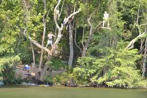 a tree swing on Lake Austin