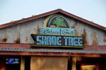 Shade Tree Saloon in River Branch