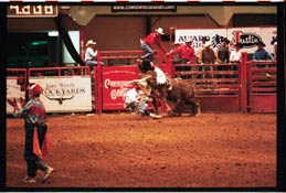 Rodeo at the Ft Worth Stockyards