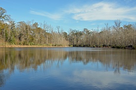 Palmetto State Park