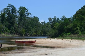 Village Creek State Park