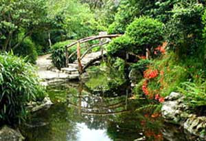 Zilker Botanical Gardens