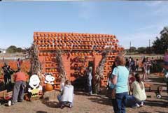 Fun Flower Mound Pumpkin Patch