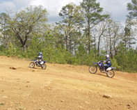 Barnwell