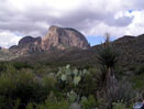 Big Bend Expeditions
