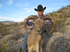 Aoudad Hunt at Lajitas Hunt Club