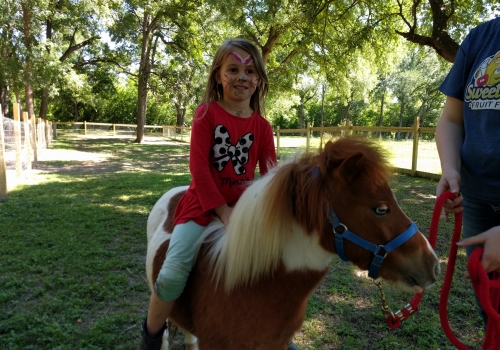 Sweet Eats Fruit Farm