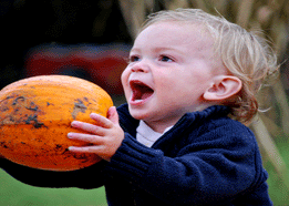 Texas Pumpkin Patches