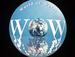 The Witte Museum