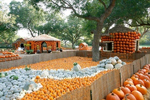 Arboretum