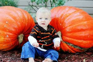 Big Orange Pumpkin Farm