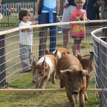 Dewberry Farm