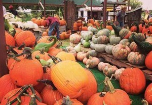 Mainstay Farm Park