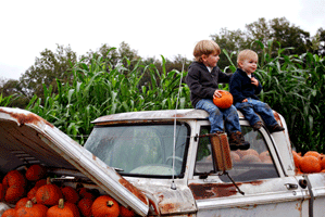 Texas Pumpkin patch