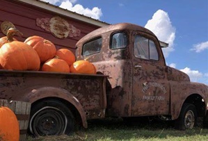 Robinson Family Farm