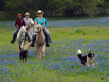 BlissWood B&B Ranch