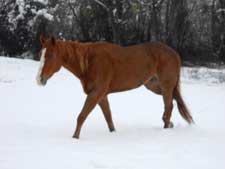 Broken Bow Ranch